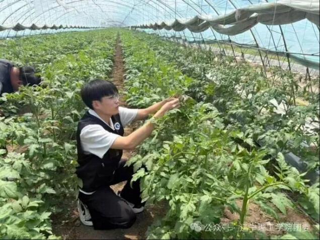 微信图片_2026-09-02_154956_790.jpg